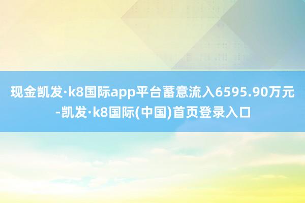 现金凯发·k8国际app平台蓄意流入6595.90万元-凯发·k8国际(中国)首页登录入口